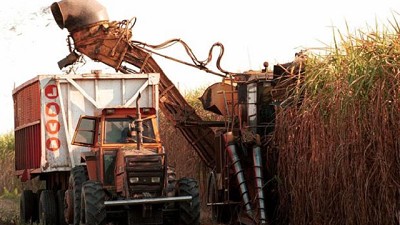 En enero subieron 20% las exportaciones de las economías regionales