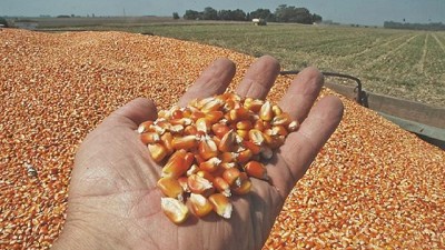 El mercado ya mira el 2017/18 sin descuidar 2016/17, por Lorena D´Angelo