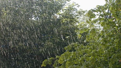 Registro de precipitaciones caídas al 3 de Marzo