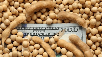Gobierno dijo que “exportadores quieren dólar más alto” pero no se lo pueden dar
