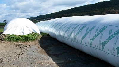 Cosecha: con bolsas más grandes y herméticas