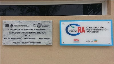 En Chubut, la biotecnología reproductiva animal hace punta