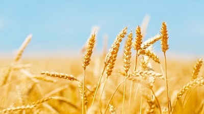 El agro genera un millón de puestos de trabajo