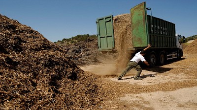 Crean el Programa para la Promoción de la Energía Derivada de Biomasa