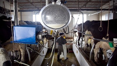 Los grandes cambios en el mercado mundial de productos lácteos