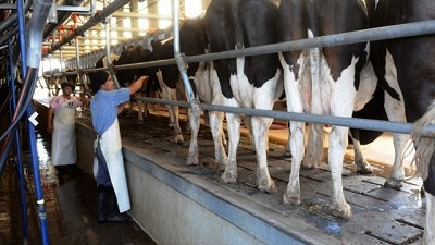 La cadena lechera debe recuperar la confianza