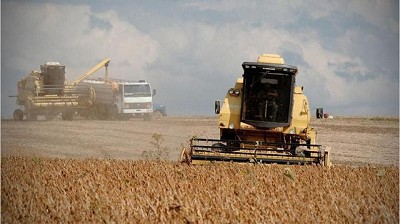 En el cuarto trimestre, sólo creció el empleo en las ciudades ligadas al campo