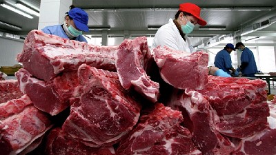Buryaile dijo que no se detectaron anomalías en los productos cárnicos brasileños