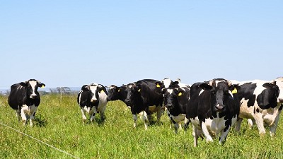 Crearon créditos para asistir a tamberos