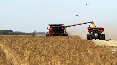 ¿Otra cosecha complicada por lluvias?  - GEA