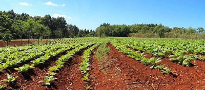 Una capacitación para elevar la calidad de vida