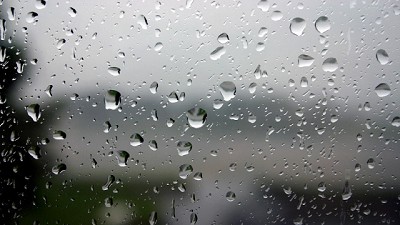 Clima: Se espera un invierno variable y húmedo