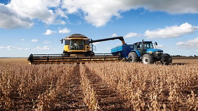 El impacto del “Plan Belgrano” para el productor del norte