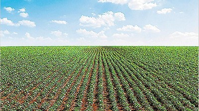El campo reclama 