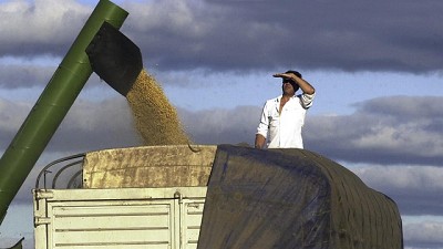 Soja: suben las estimaciones de cosecha para la Argentina y Brasil