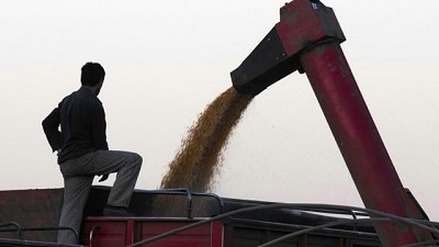 Sin demasiasdas sorpresas del USDA para el ciclo Nuevo, por Dante Romano