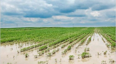 Preocupación en Santa Fe por la inundación de campos