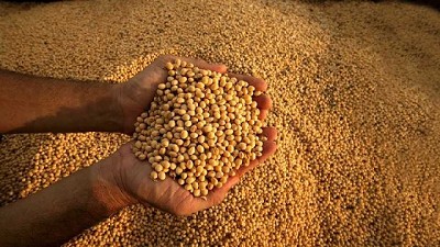 Argentina rumbo a lograr 200 millones de toneladas de producción de granos