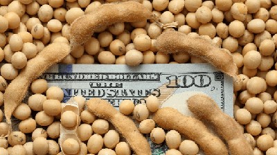 El mayor ingreso de sojadólares bajó al dólar un centavo hasta los $ 16,69