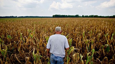 Quiénes son los reyes de la soja, el maíz, la carne y la leche en la Argentina