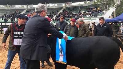 Buryaile en Chaco: 