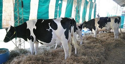 Mercoláctea 2017 ya trabaja con el horizonte puesto en el INTA Rafaela
