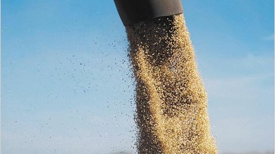 La baja de precios y una serie de paros complican a la exportación agrícola