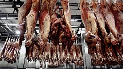 En mayo creció casi 40% la exportación de carne vacuna