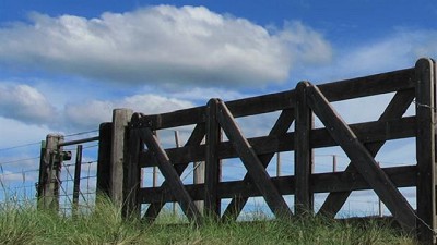 Real estate rural: cómo evolucionó el mercado desde la baja en las retenciones