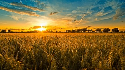 Se espera un fin de semana con buenas condiciones meteorológicas
