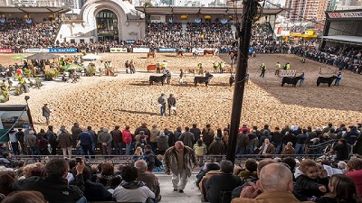 La Rural de Palermo 2017: Cuáles son las principales atracciones