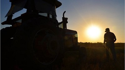 Autorizan cazar jabalíes en Carmen de Patagones por considerarlos una plaga