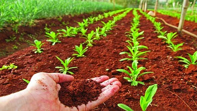 Carta de suelos: conocer para maximizar la productividad