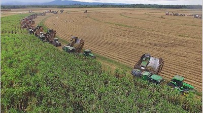 Ledesma mejoró procesos y alcanzó en junio una producción récord de caña