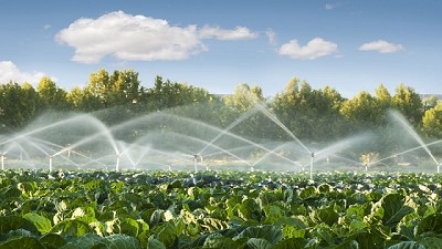Agua en el suelo, una variable que impacta en el rendimiento