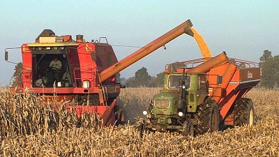 Último tramo de la cosecha de maíz con promedios de 5300 kilos por hectárea