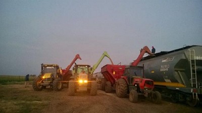Por el mal estado de los caminos, en un campo de La Pampa sacan la cosecha en tren