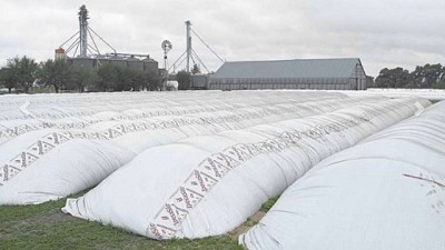 En el campo hay US$ 10.000 millones en silo bolsas llenos de soja y maíz