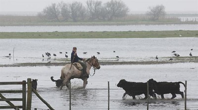Los costos visibles y los que vendrán por el drama de las inundaciones