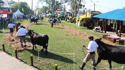 Formosa: piden que los productores se organicen para acceder a créditos
