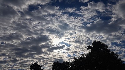 Hoy, en clima, mandan los pronósticos a corto plazo