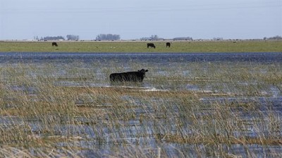 El agua, imparable en los campos de Olavarría