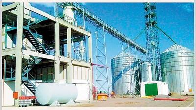 Productores de colza franceses y alemanes no quieren que ingrese el biocombustible argentino