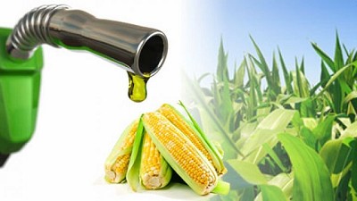 Radio: El Campo genera trabajo y se enfoca en generar mucho más con Bioetanol