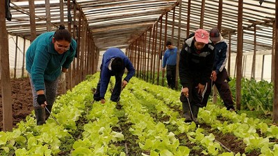 Agricultores familiares bonaerenses podrán registrarse a través de un solo trámite