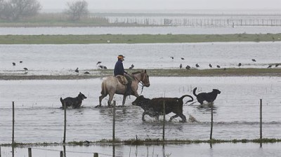 Según un informe de Agroindustria, hay menos zonas inundadas y no se descarta una 
