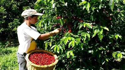 ArgenINTA invirtió $ 23 millones en créditos para pequeños productores
