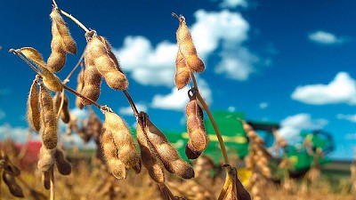 Se han duplicado las importaciones de soja en este 2017 - BCR