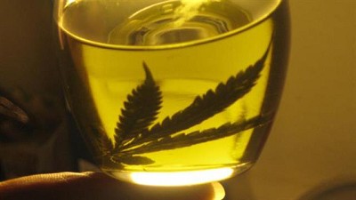 Autorizan al Conicet y al INTA a cultivar cannabis para uso medicinal