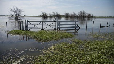 Para el gobierno bonaerense, esta semana bajó 6% la superficie inundada